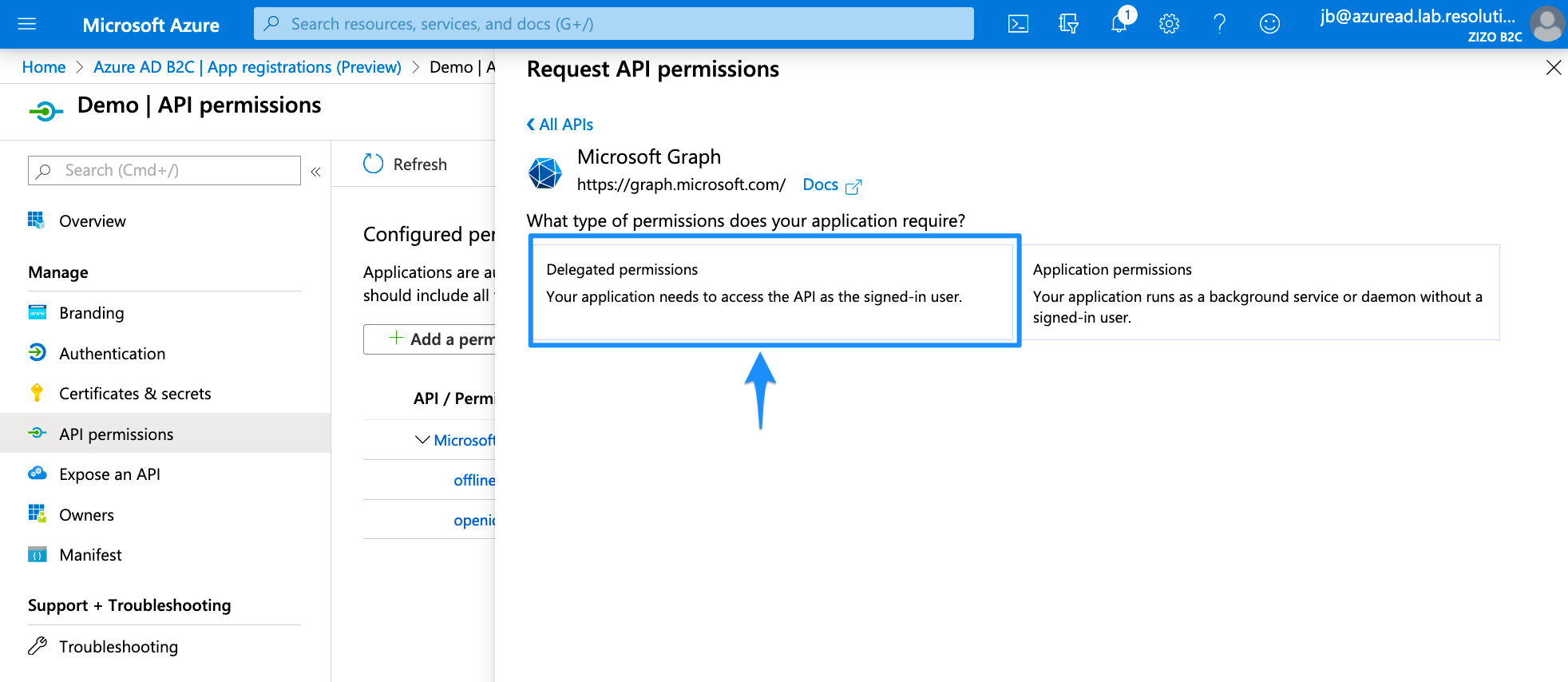 Delegated Permissions Azure AD B2C