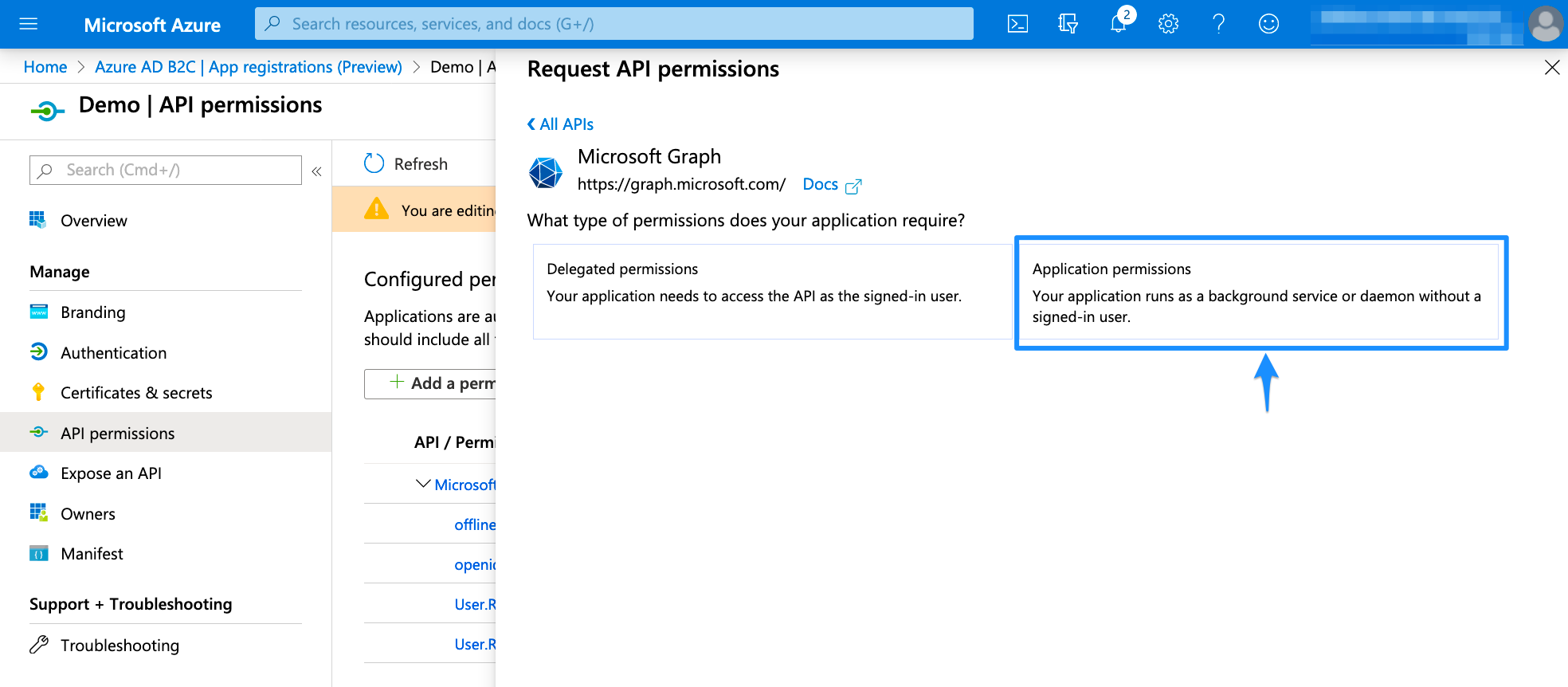 Application permissions Azure AD B2c