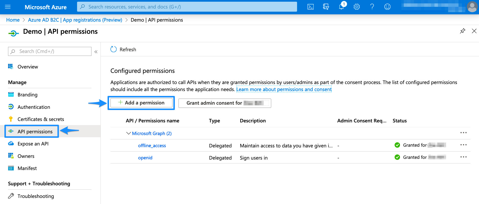 Azure AD B2C API Permissions